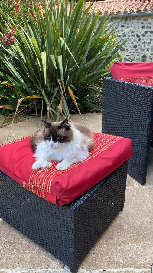 Au Bon Endroit Homestay Sevremont